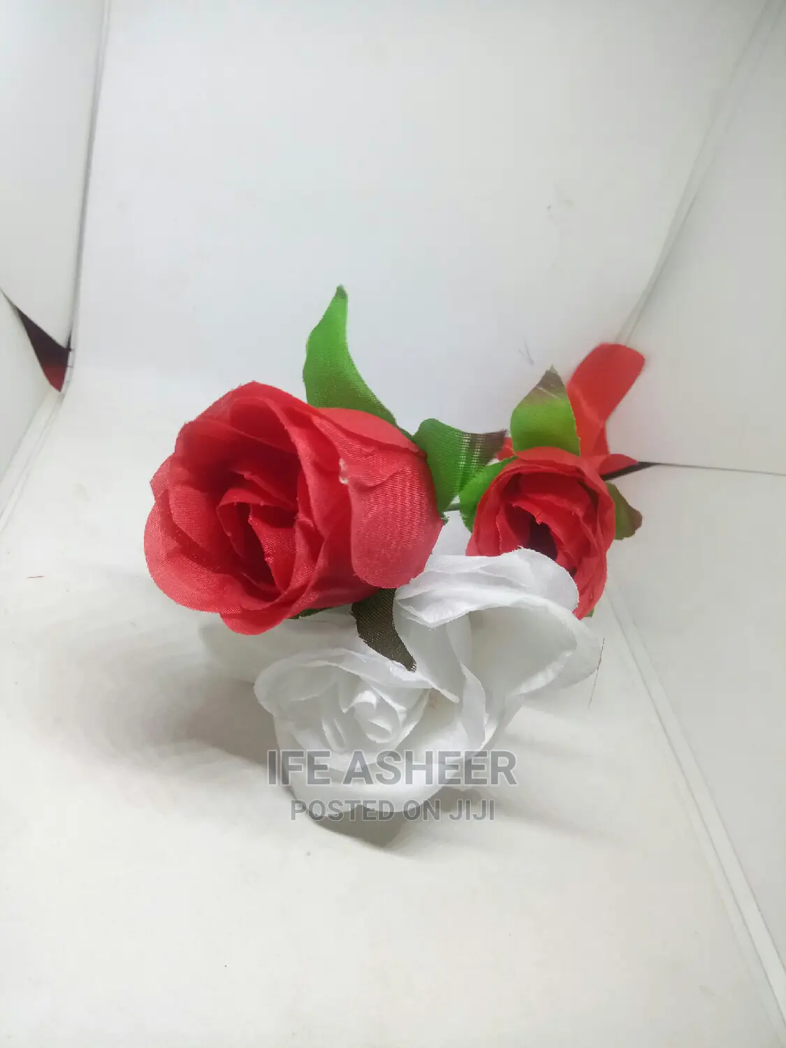 Beautiful Rose Flowers for Your Loved Ones 02