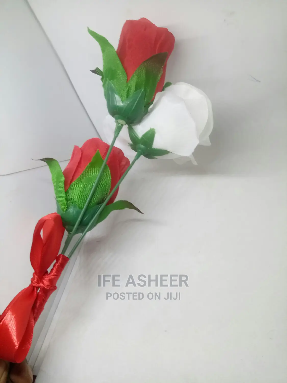 Beautiful Rose Flowers for Your Loved Ones 02