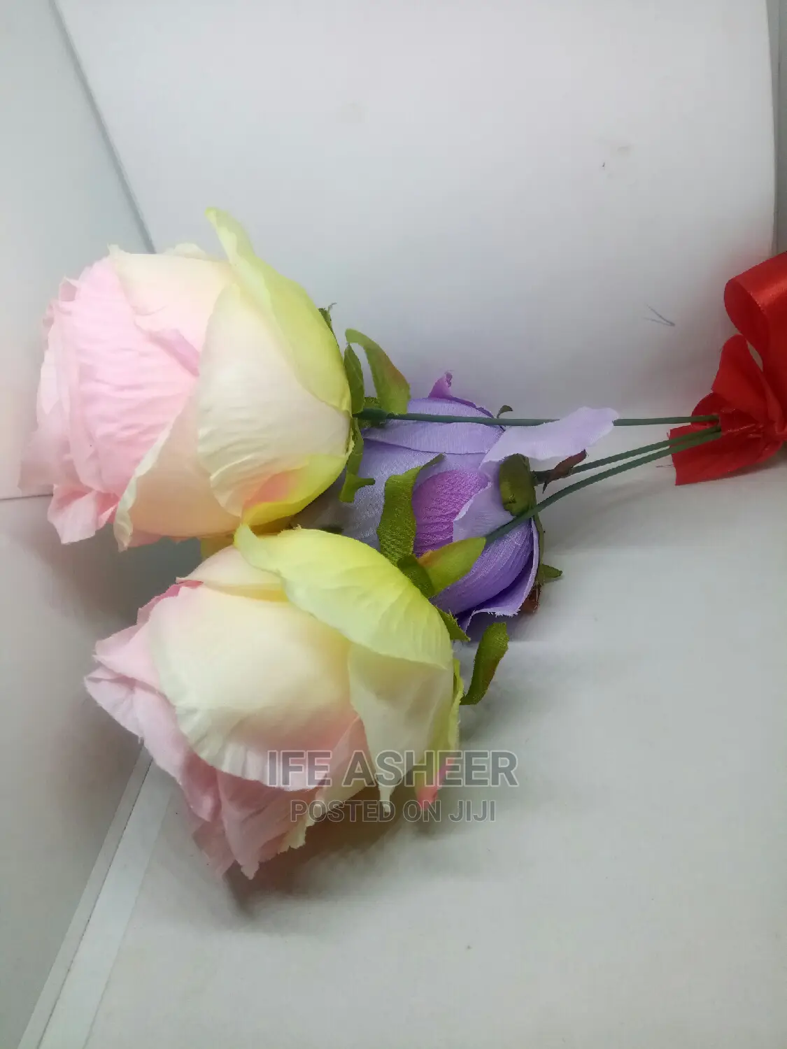 Beautiful Rose Flowers for Loved Ones 09 - Pink Purple
