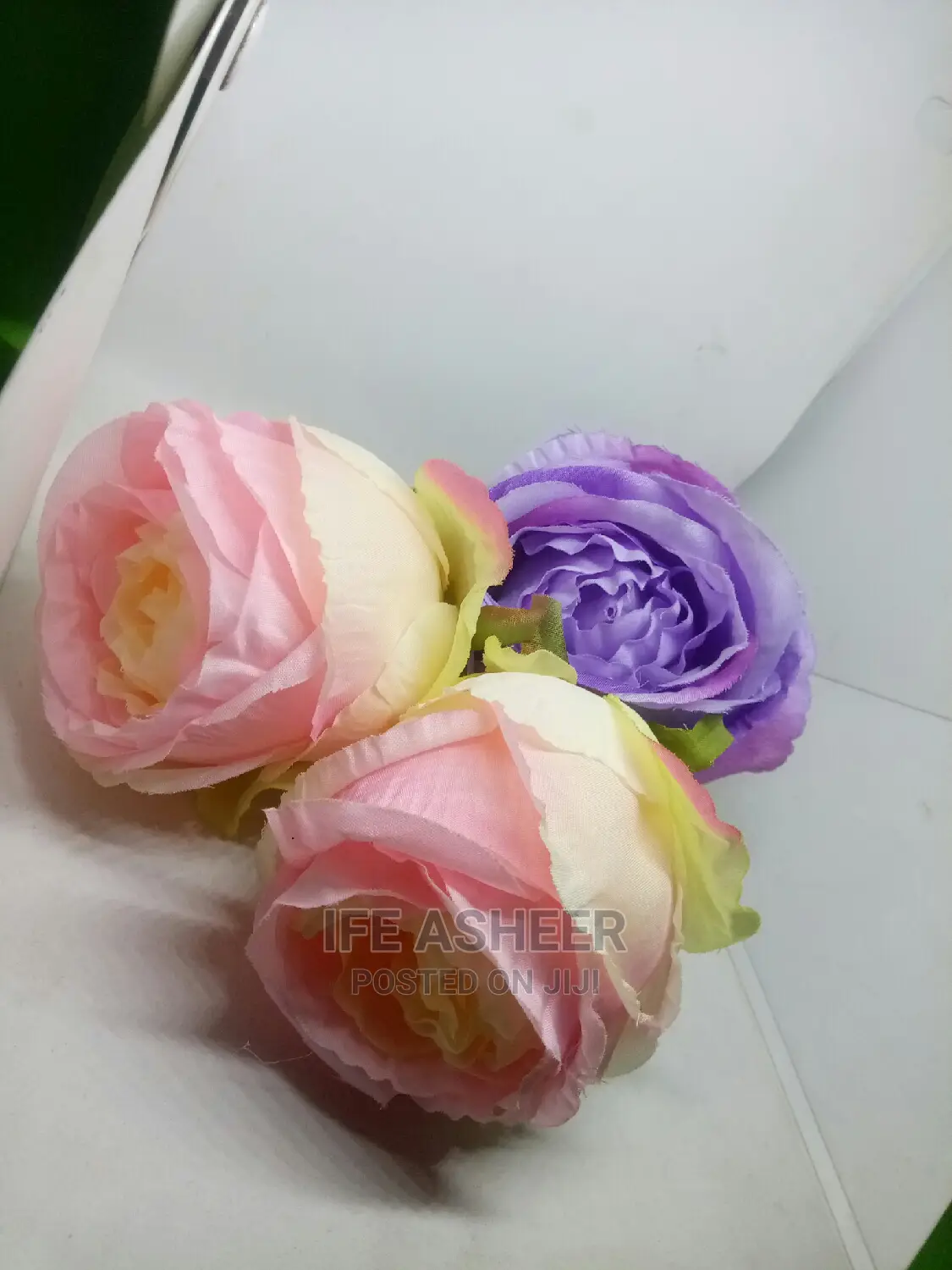 Beautiful Rose Flowers for Loved Ones 09 - Pink Purple
