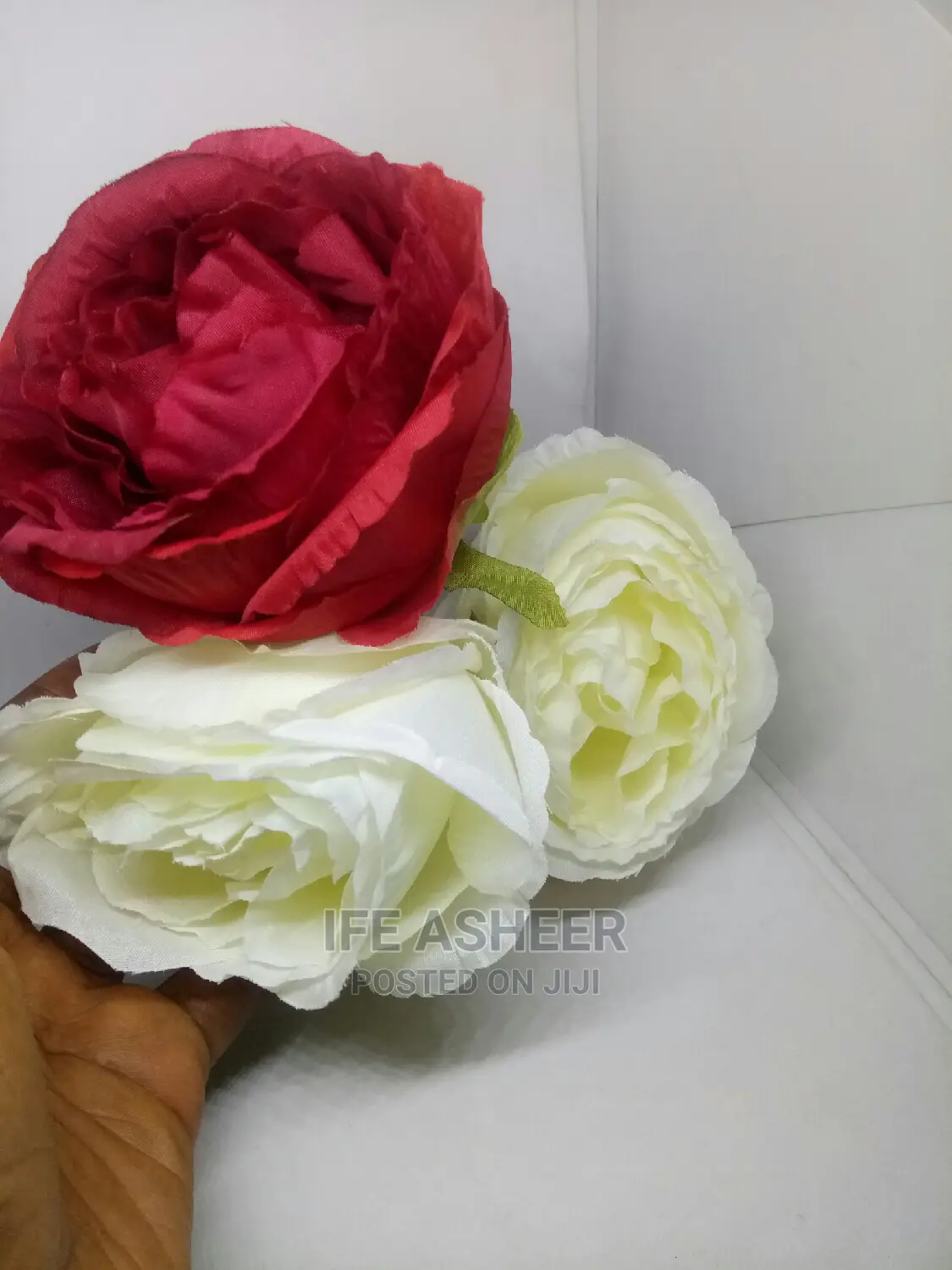 Exotic Beautiful Rose Flowers for Loved Ones 011