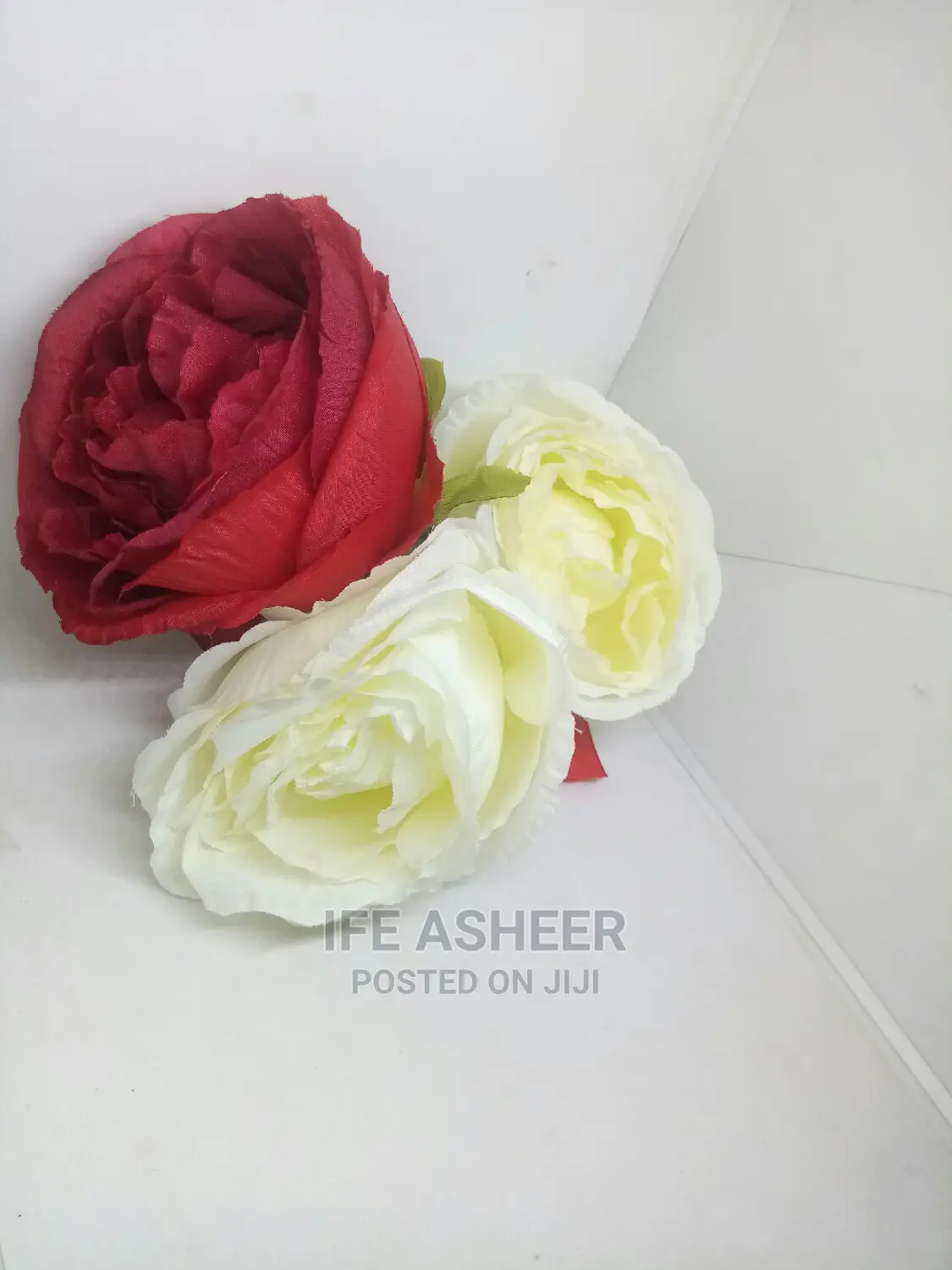 Exotic Beautiful Rose Flowers for Loved Ones 011