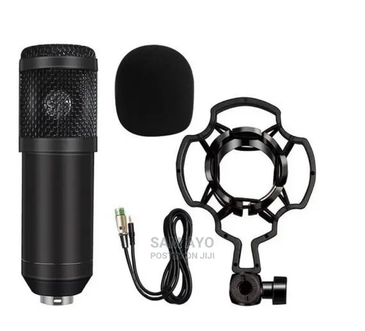 Studio Condenser Microphone