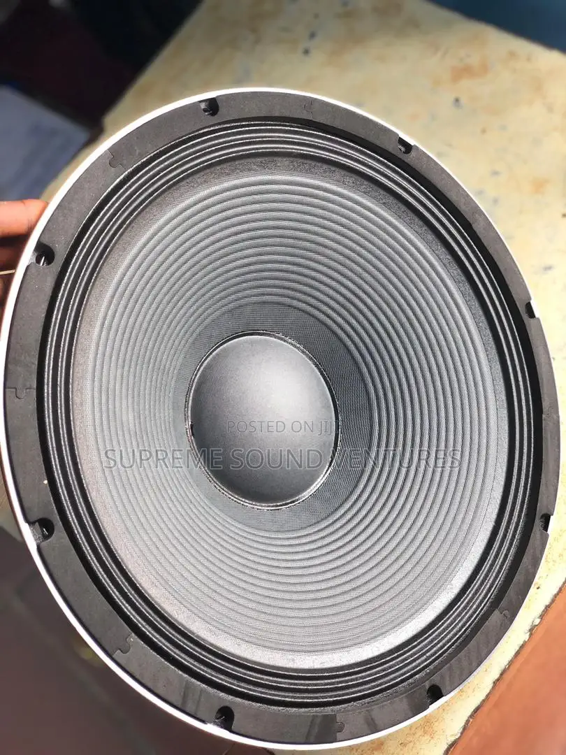 OMAX Al 389-9m3 Naked Speaker
