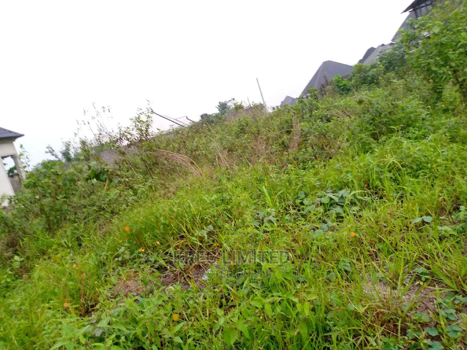 Clean Land for Sale in Omuonwa Rivers