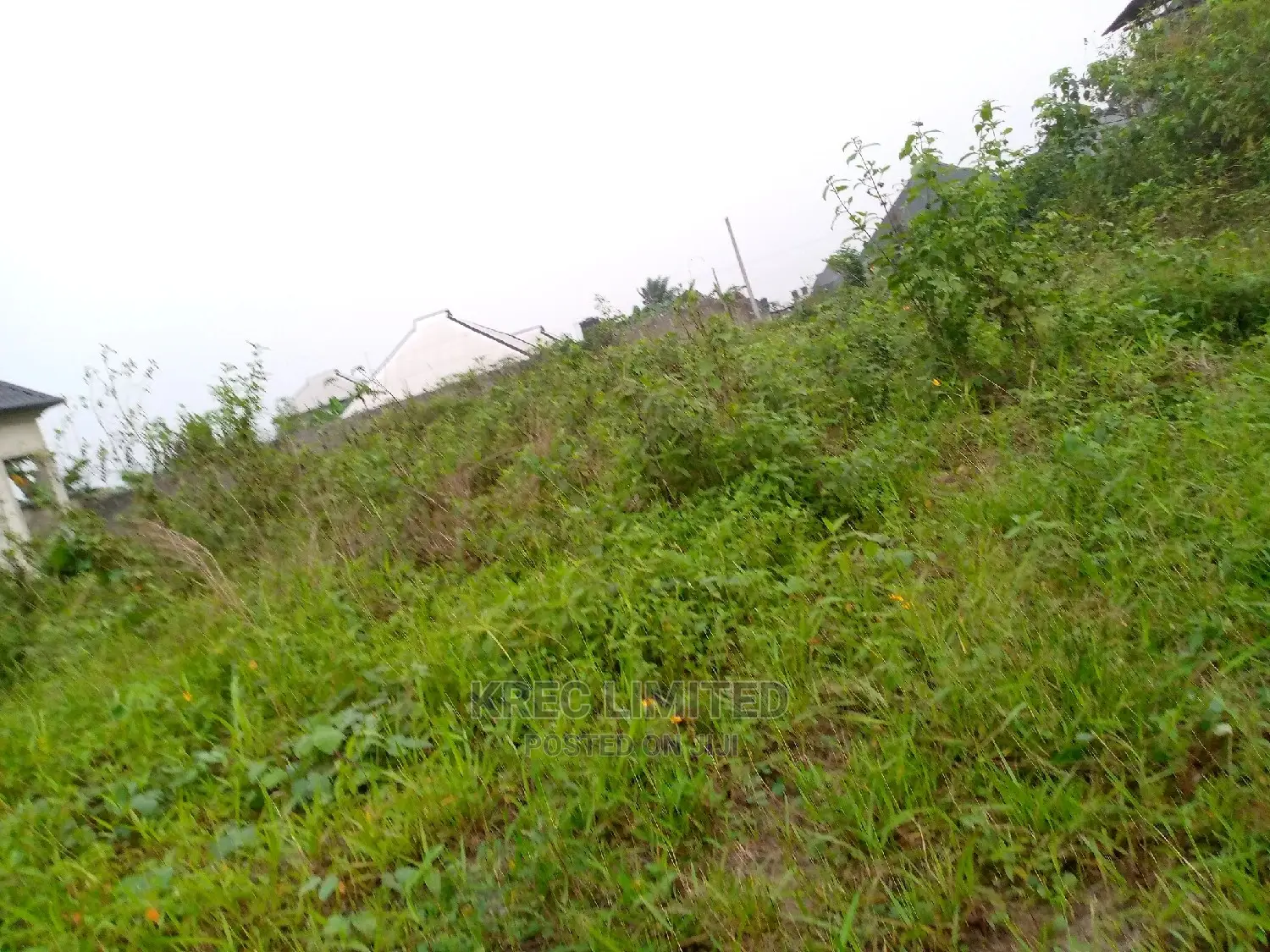 Clean Land for Sale in Omuonwa Rivers