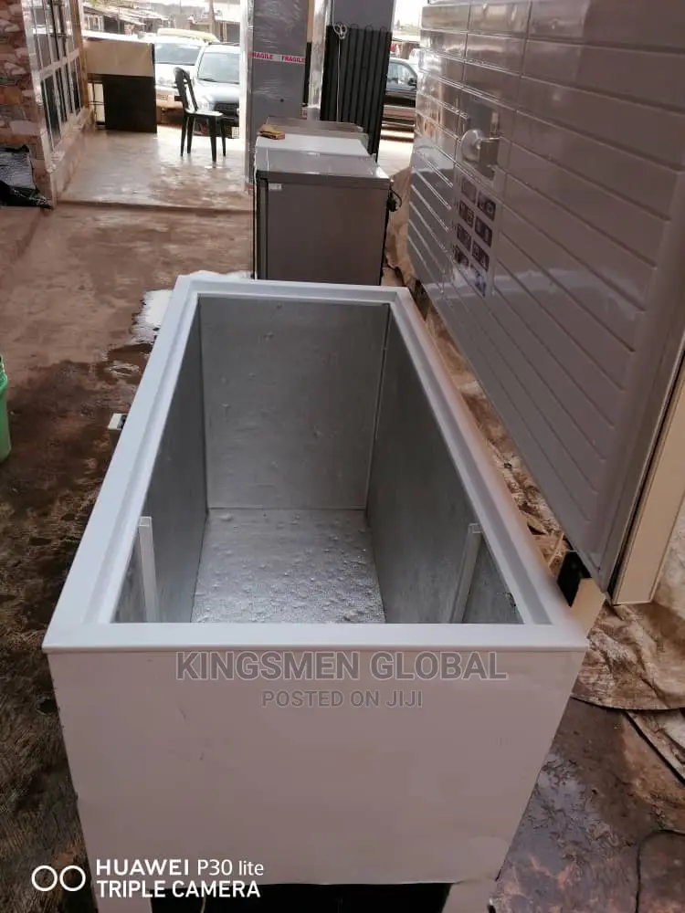 German Freezer for Frozen Food Business