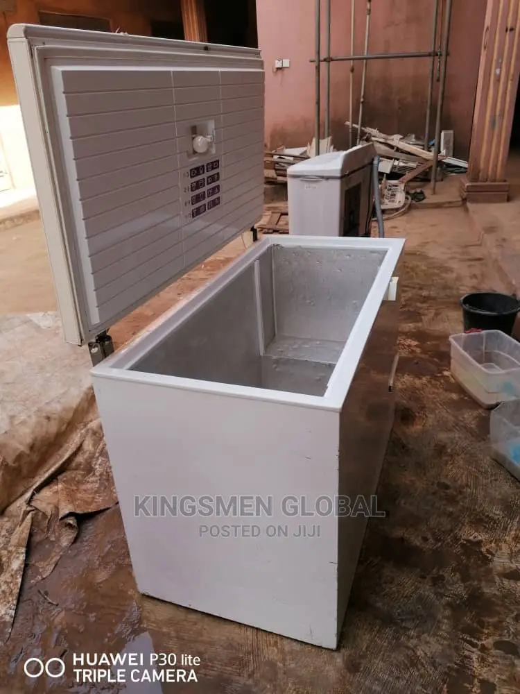 German Freezer for Frozen Food Business