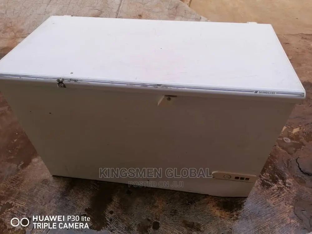 German Freezer for Frozen Food Business