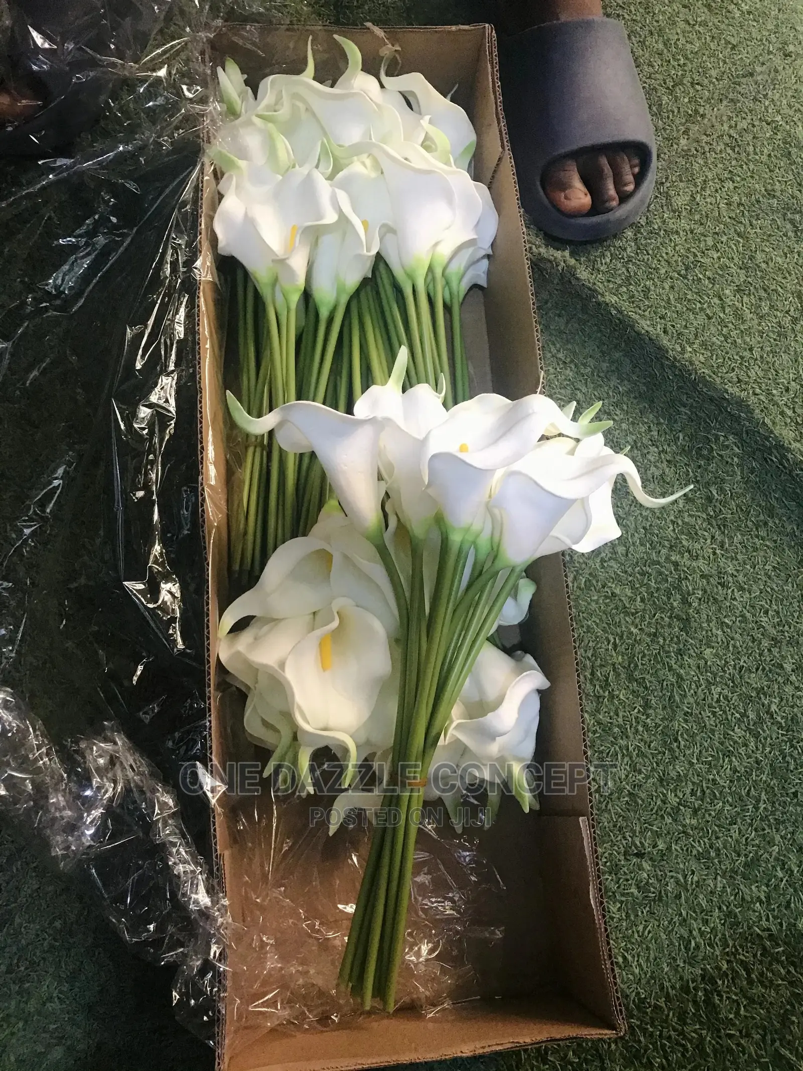 Mini Cana Lilies
