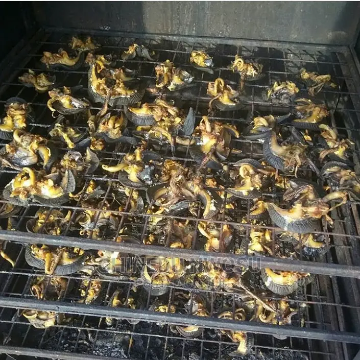 Oven -Dried Jumbo Snails(EXPORT INCLUSIVE)