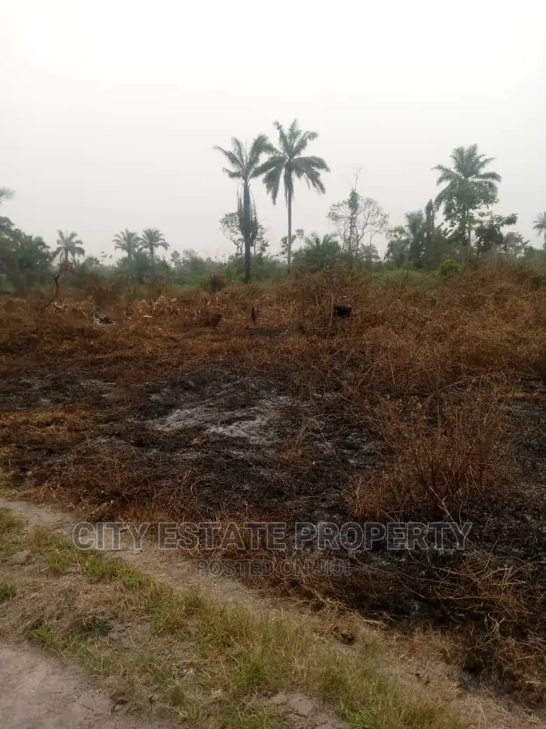 Large Vast Land for Sale in Portharcourt
