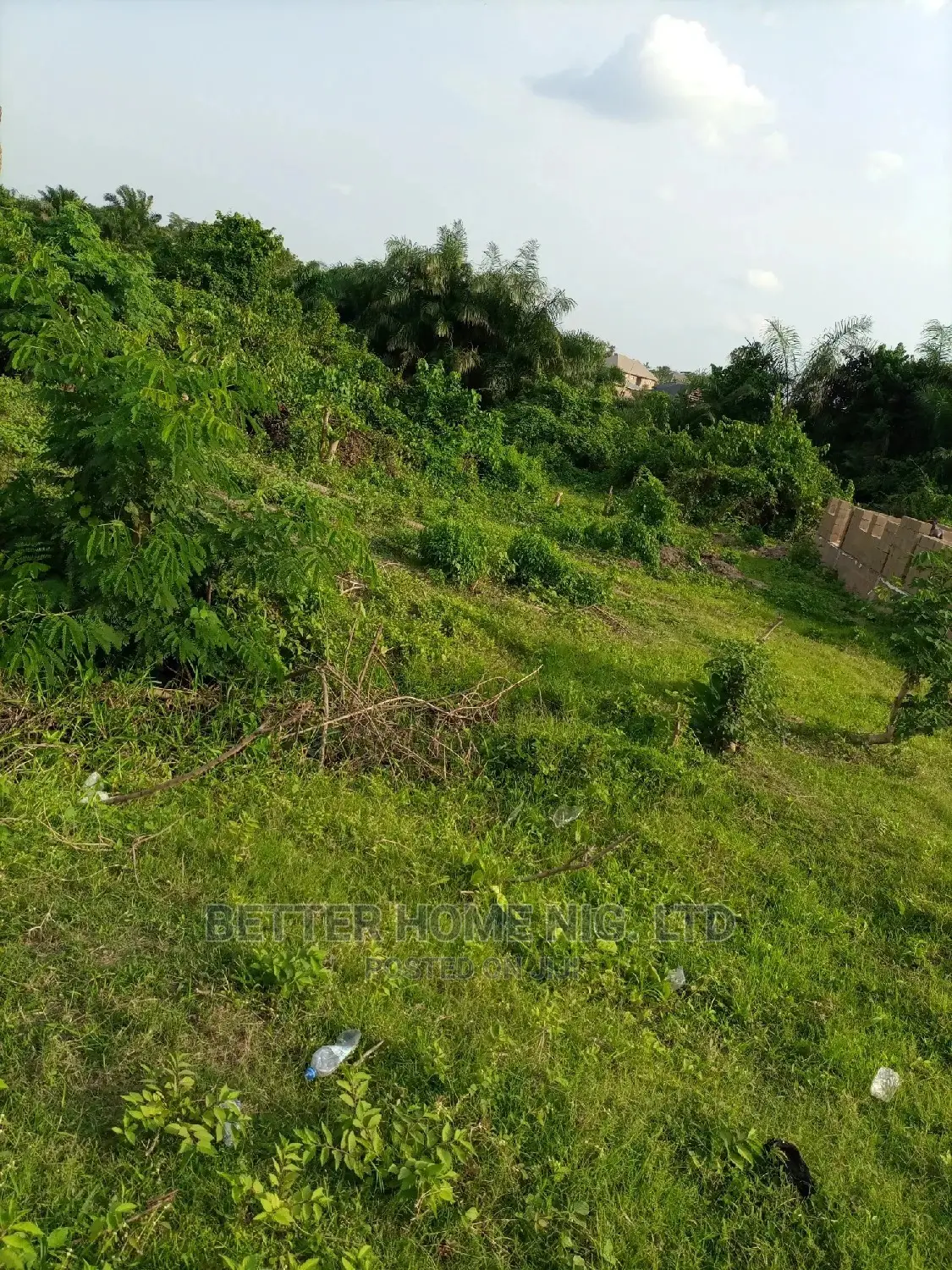 Land for Sale With Register Survey With Agreement
