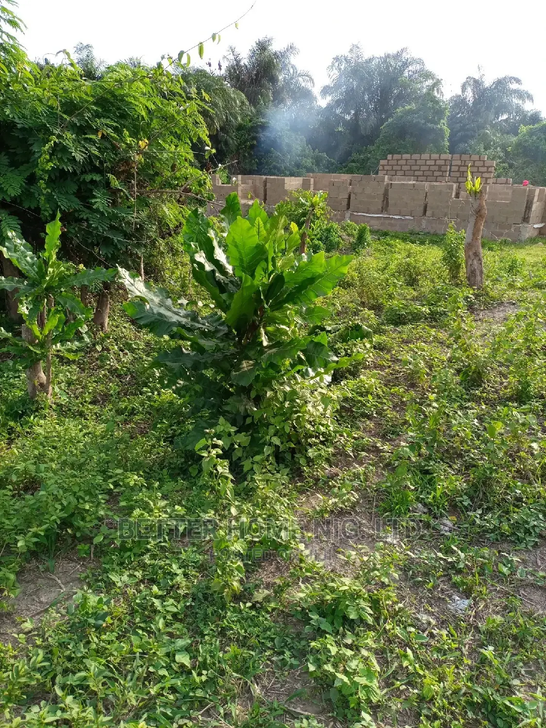 Land for Sale With Register Survey With Agreement