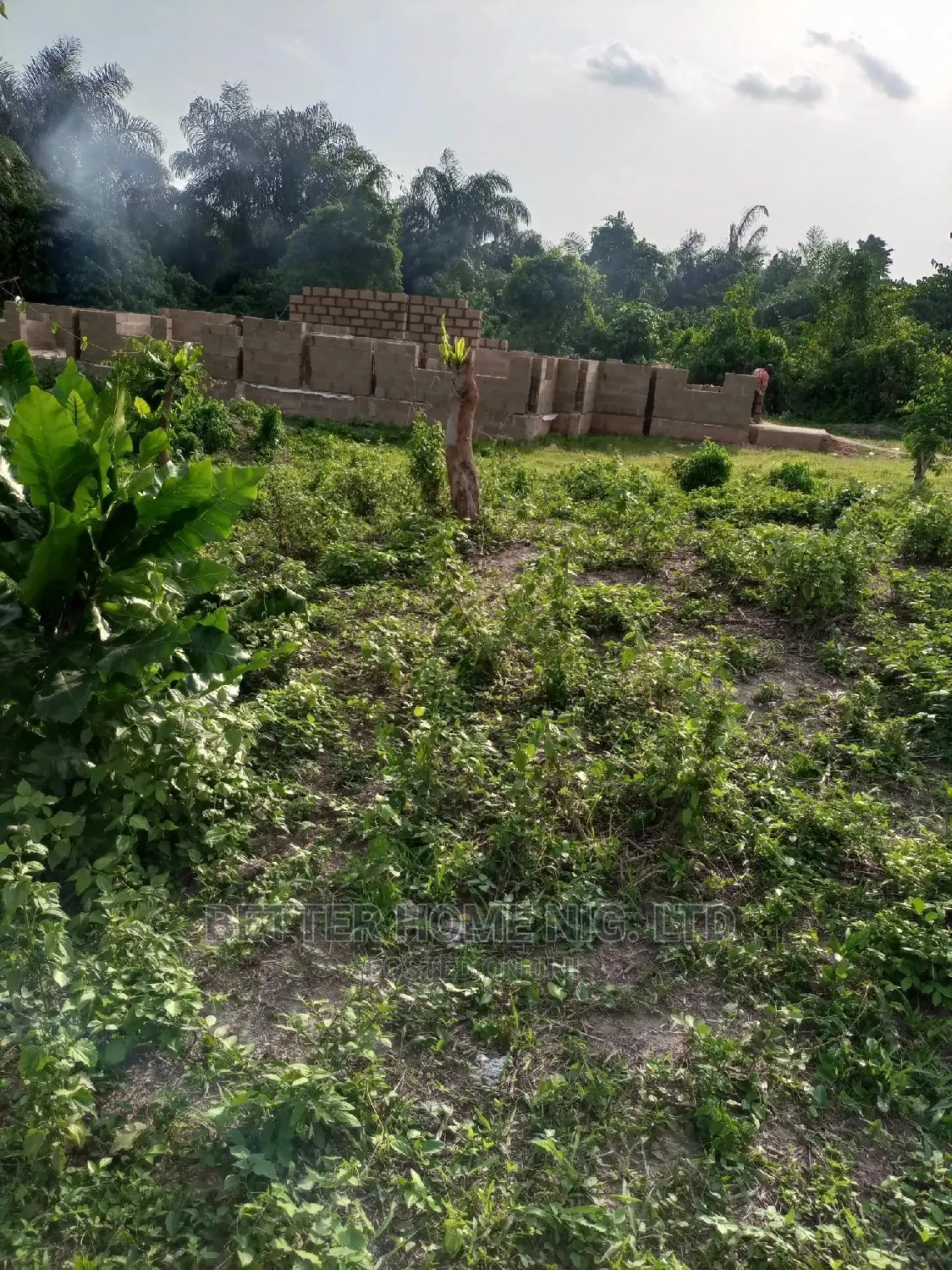 Land for Sale With Register Survey With Agreement