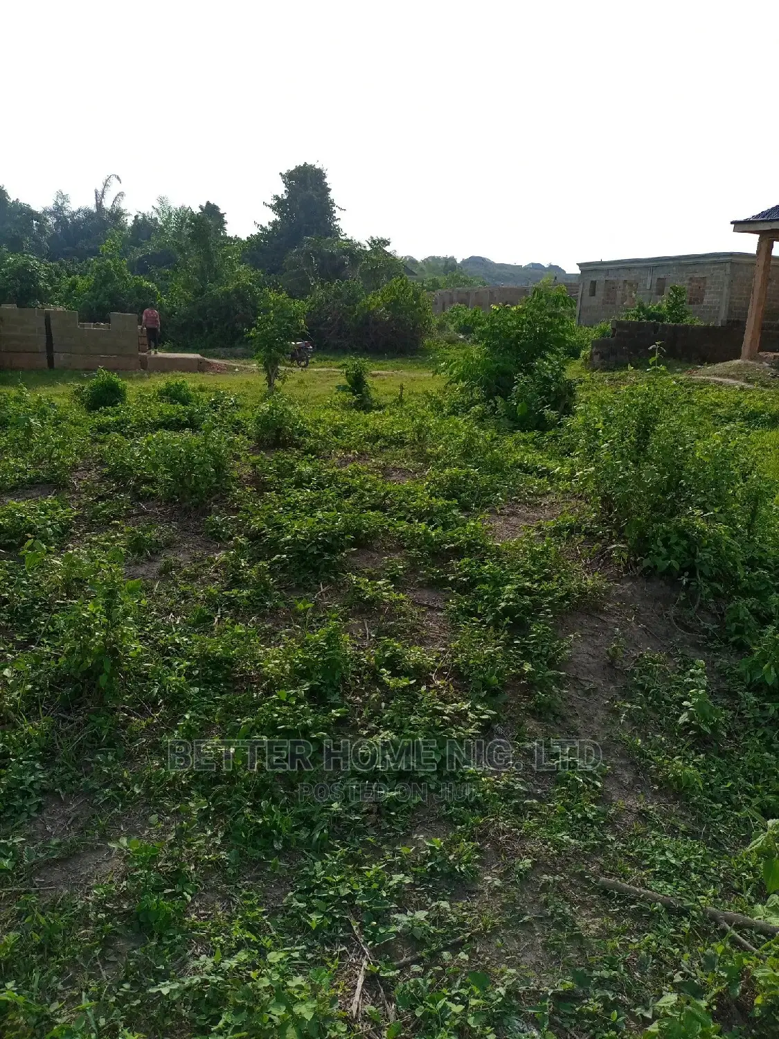 Land for Sale With Register Survey With Agreement