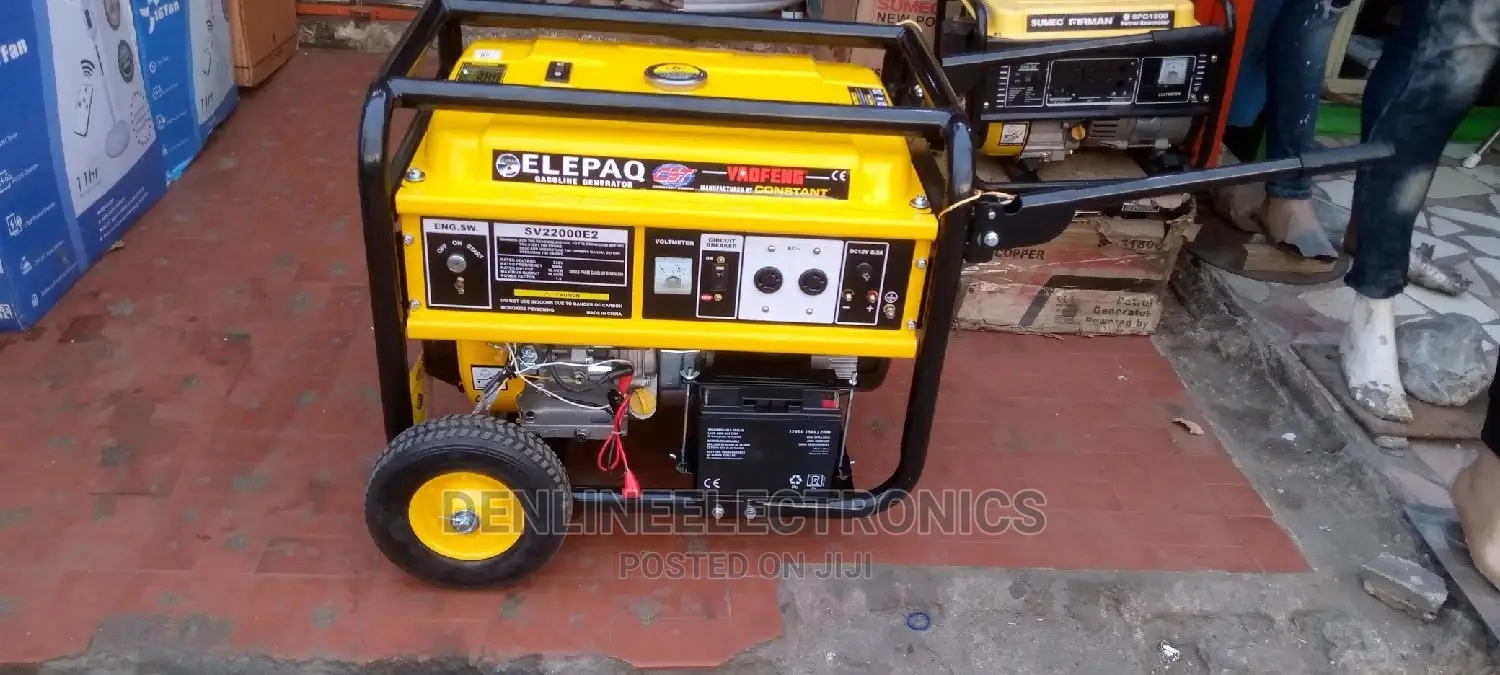 Constant Elepaq Copper Coil 5.5 Kva Sv22000e2