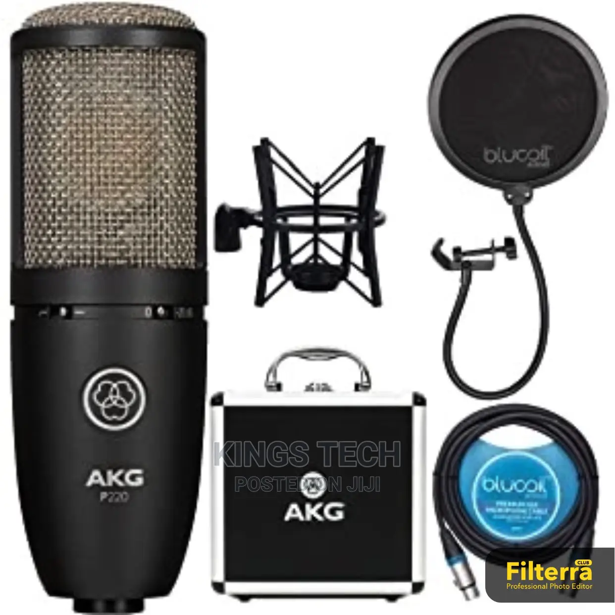 Akg P220 Large Diaphragm Studio Microphone