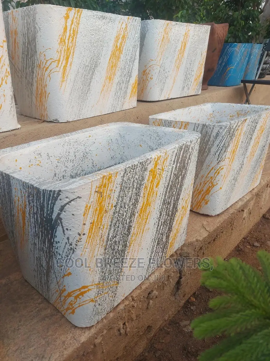Air Purifying Flowers Plant's