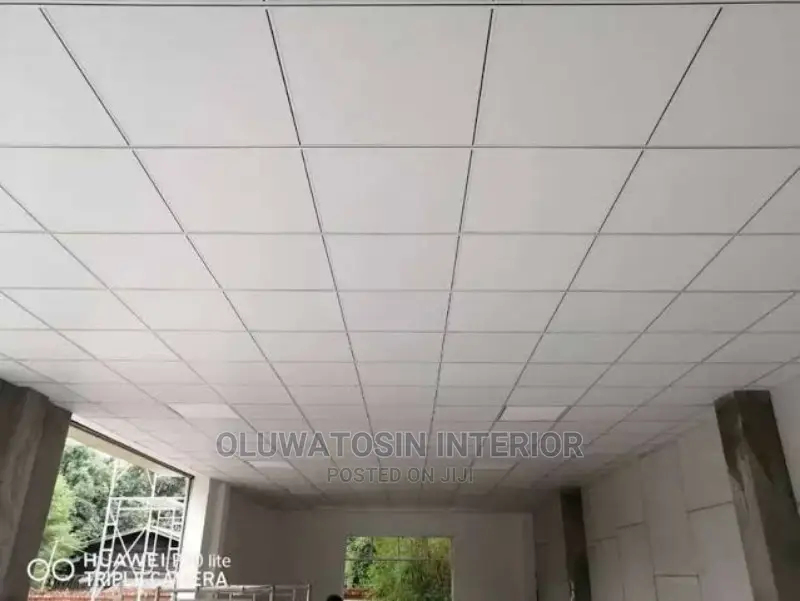 Acoustic/Gypsum Suspended Ceiling