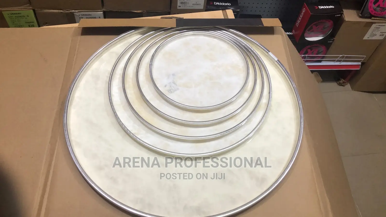 Evans Complete Vellum