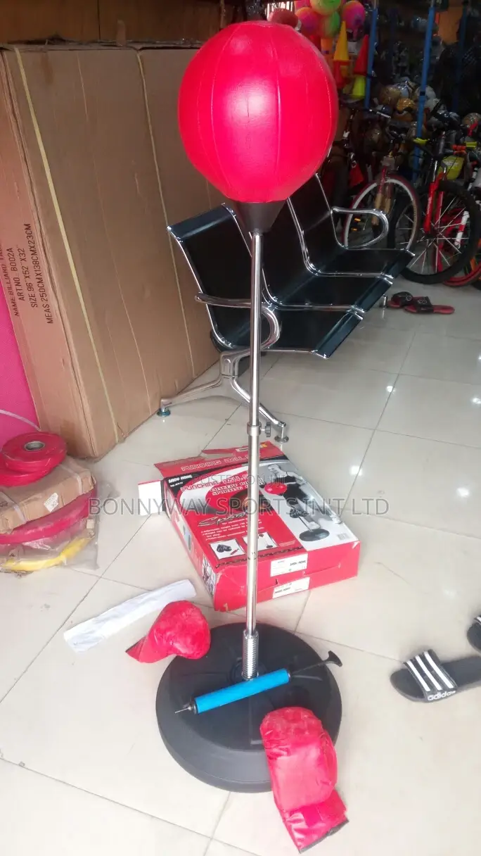 Adult Punching Speed Ball