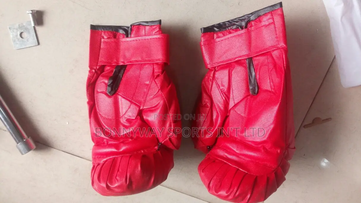 Adult Punching Speed Ball