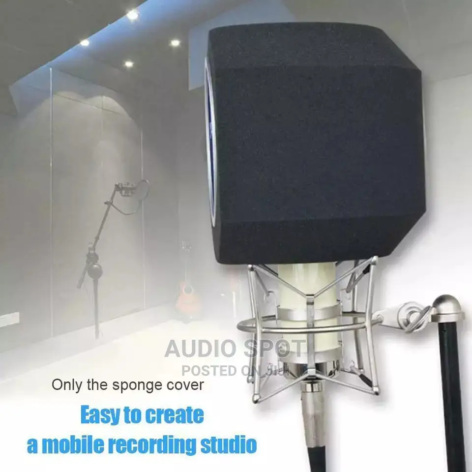 Professional Studio Mic Screen Acoustic Filter Studio Reco