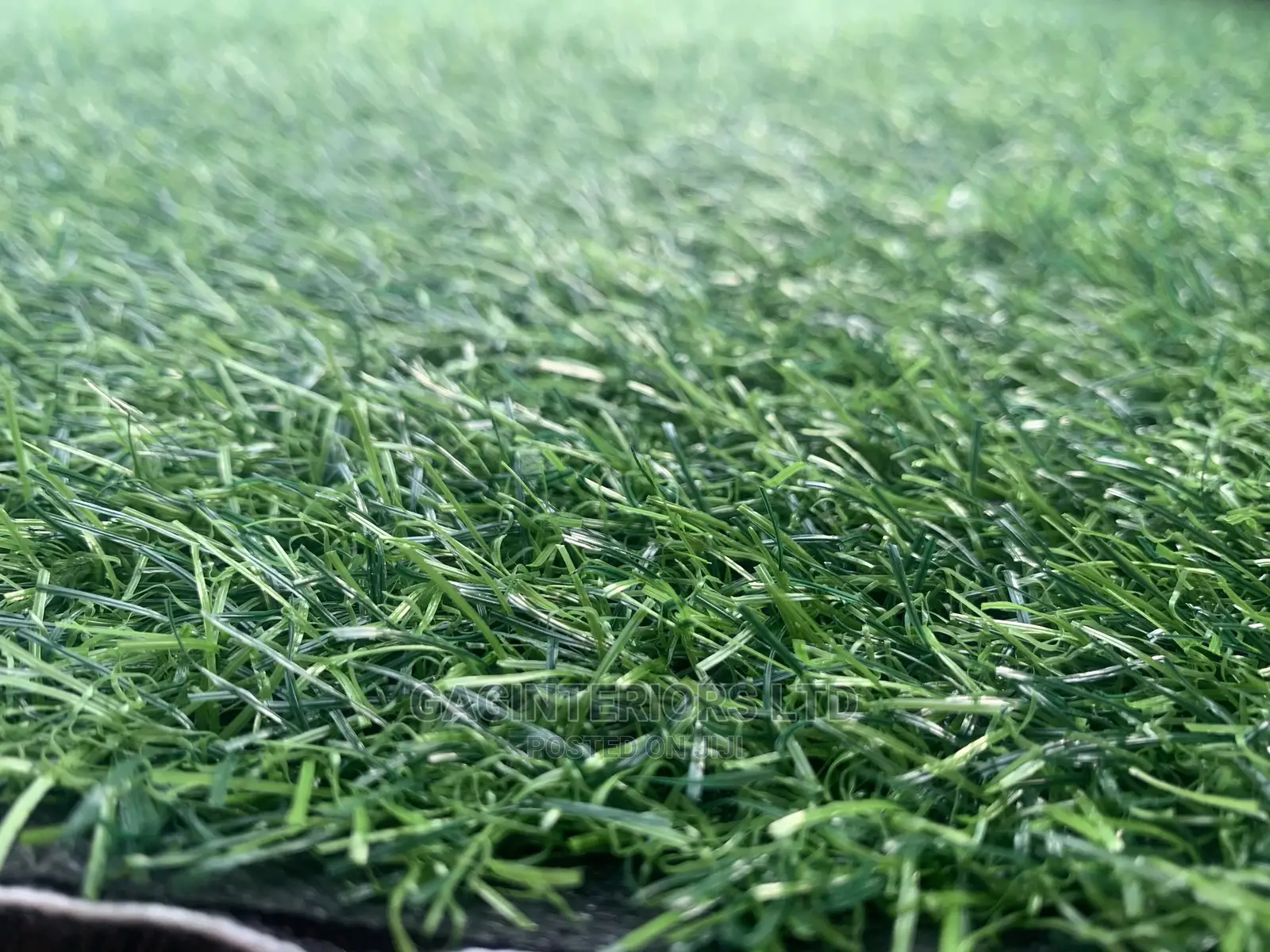 Grass Carpet