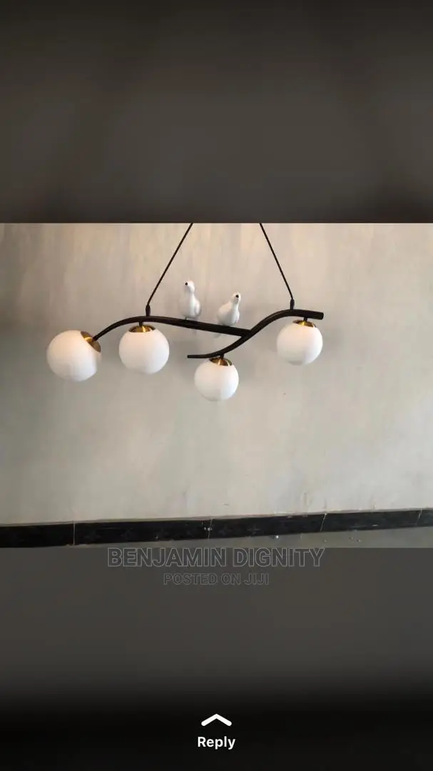 Dropped Pendant Lights
