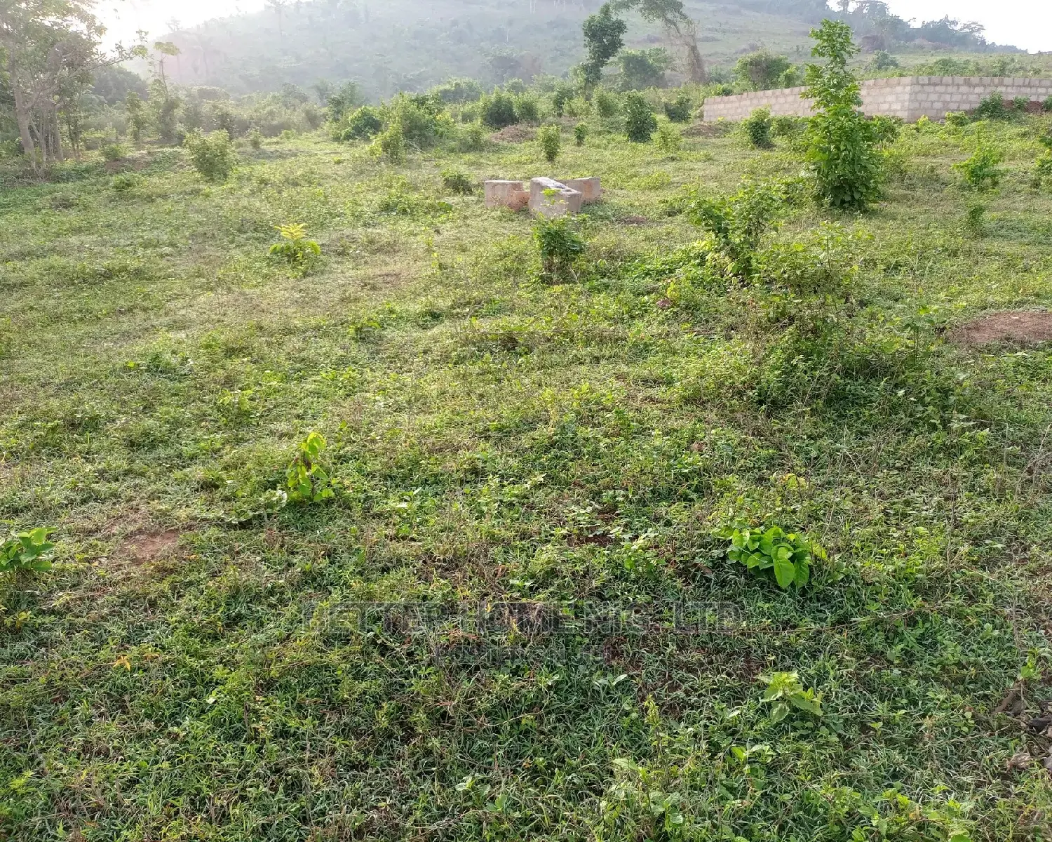 Land For Sale With Register Survey