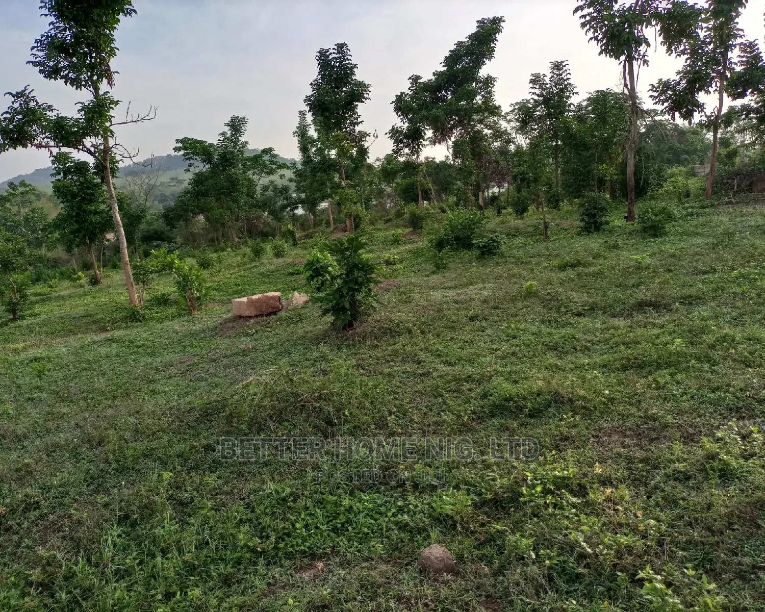 Land For Sale With Register Survey