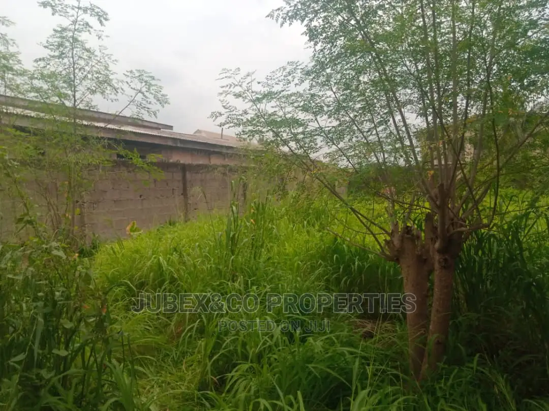 Half Plot for Sale Off Ilo Awela Toll Gate