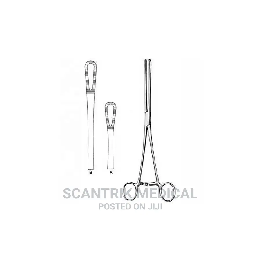 Pack Best Quality Stainless Steel Sponge Holding Forceps