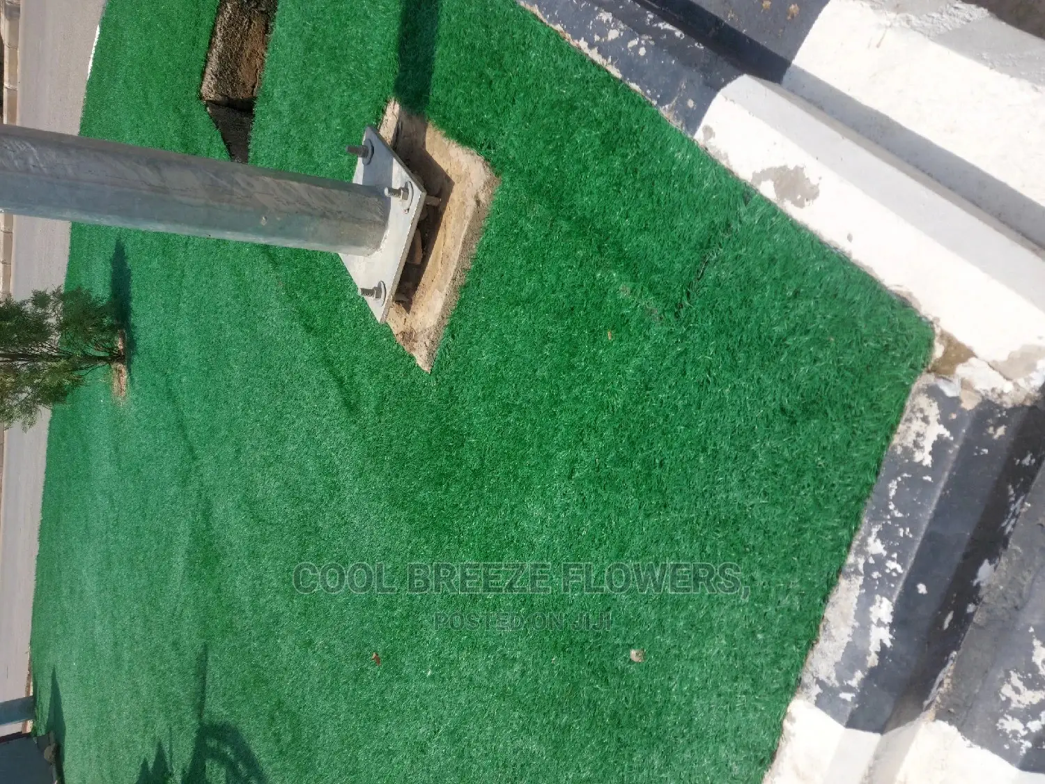 Quality Artificial Grass Available at Affordable Prices