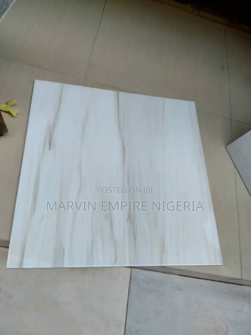 Floor Ceramics Tiles for Designs