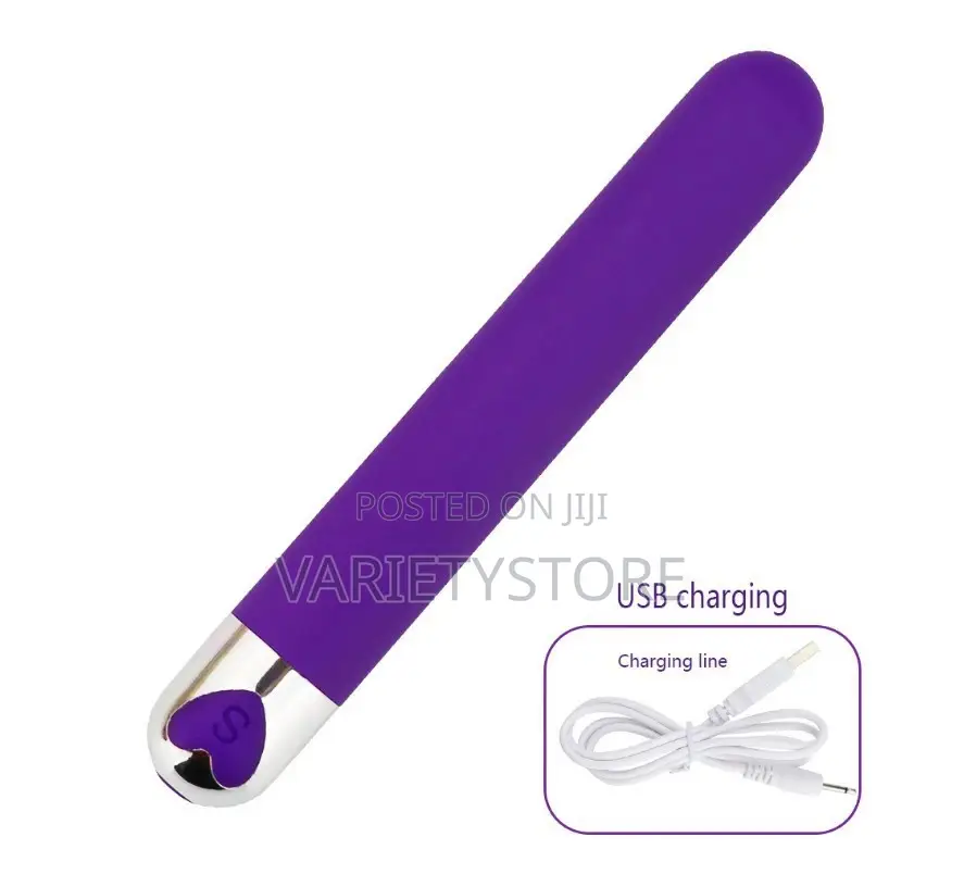 Rechargeable 10 Speed Bullet Vibrator Dildo Vibrator