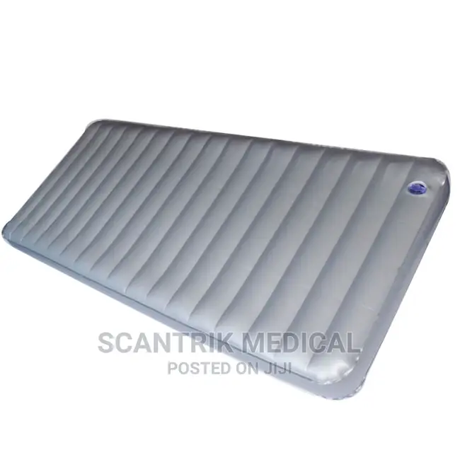 King Size Inflatable Water Air Bed