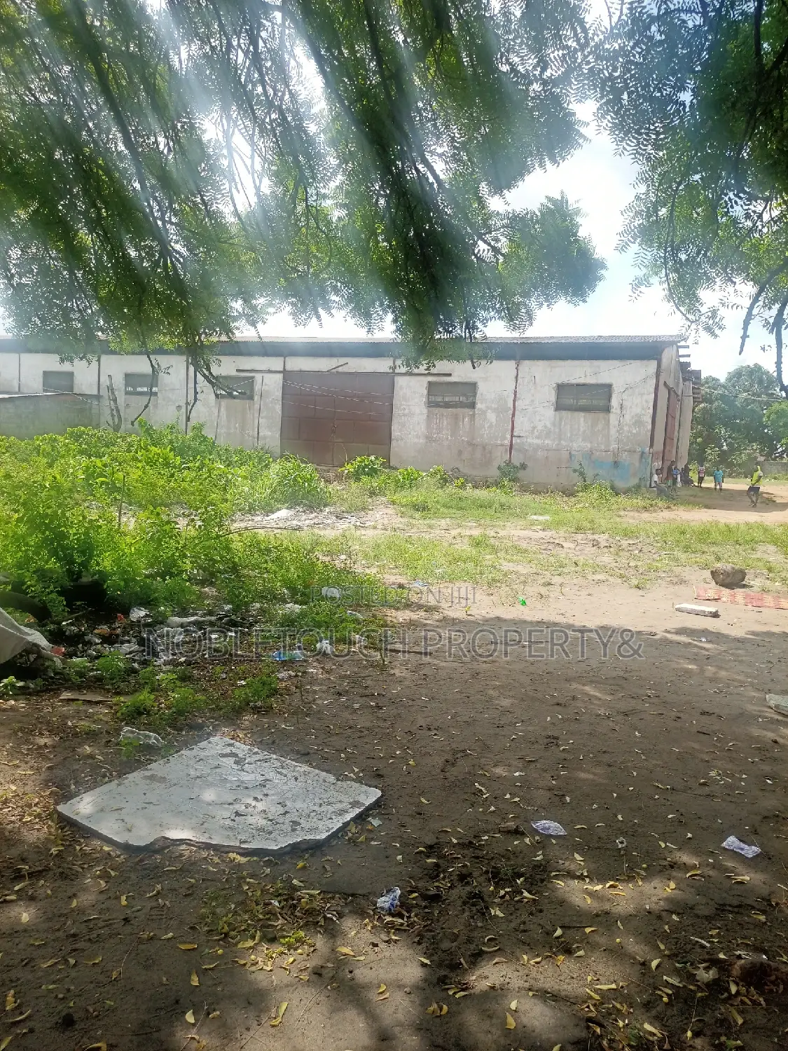 (48plots)8acres Along ECOWAS Road Iyana Isashi Ojo