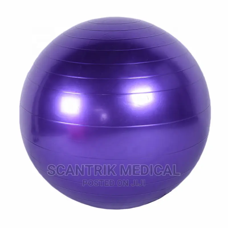 Stability Training Fitness Exercise Ball