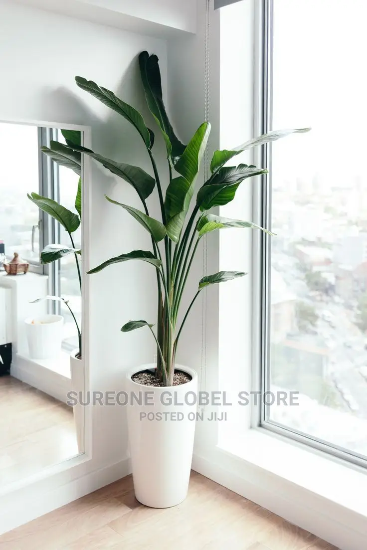 Leaves Large Artificial Banana Tree Fake Tropical Plants