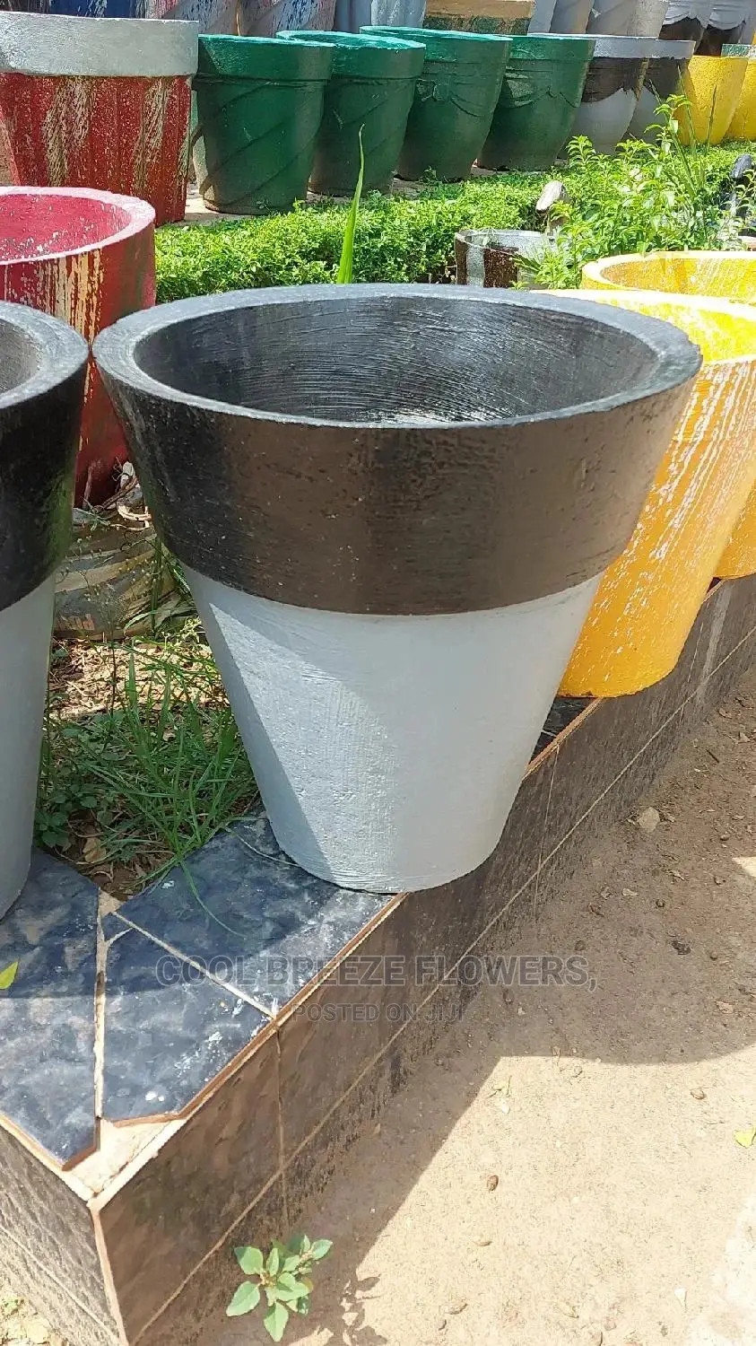 Design FLOWERS Pot Available at Affordable Prices