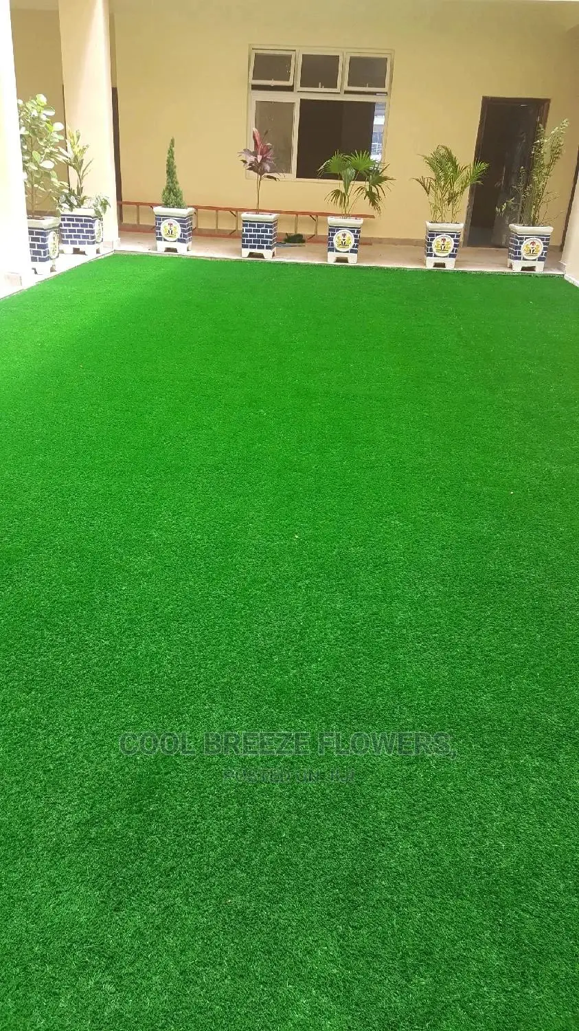 Artificial Grass for Sales and Installations