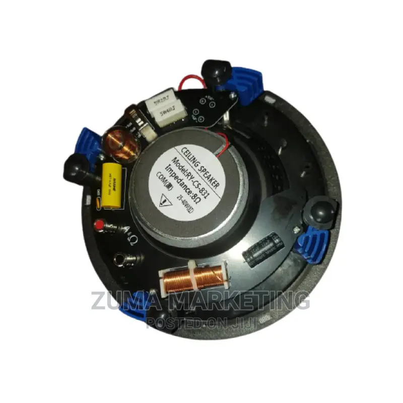 Coaxial Soprano Hi-Fi Professional Ceiling Speakers