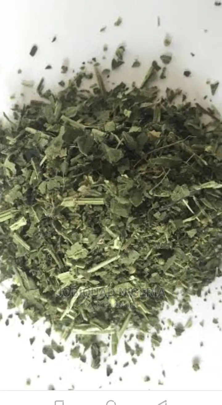 Stinging Nettle Treat Arthritis Lower Back Pain 250g