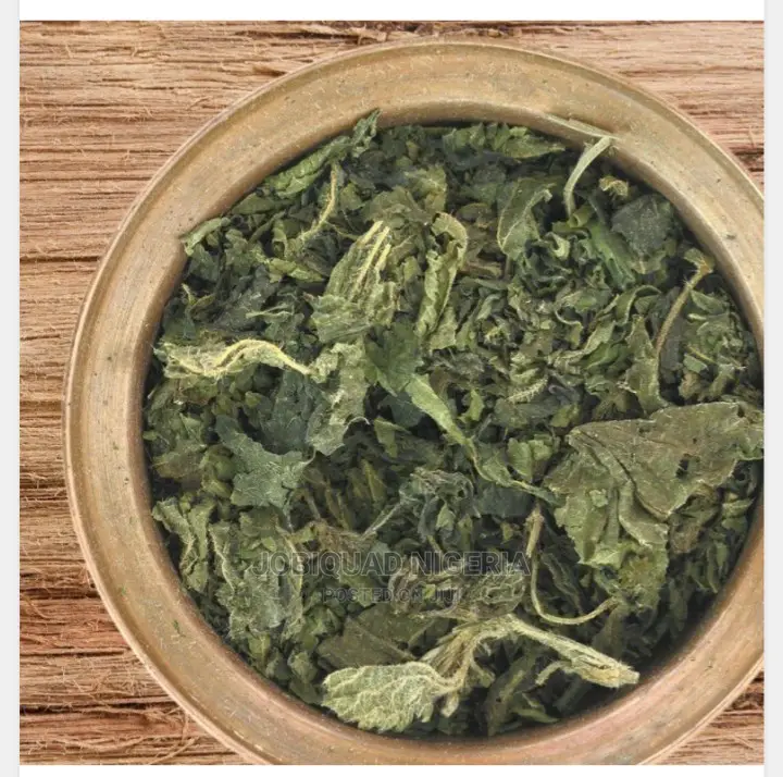 Stinging Nettle Treat Arthritis Lower Back Pain 250g