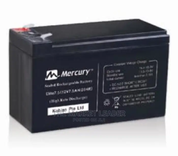 Mercury 100AHMS Deep Cycle Battery