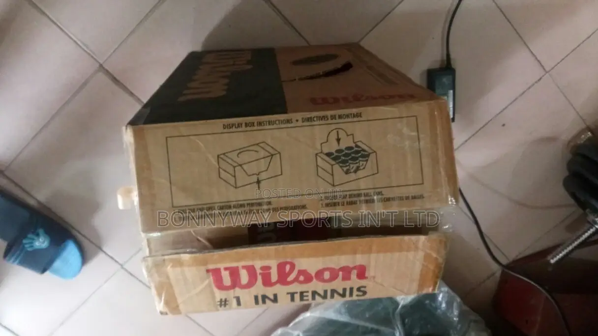 1 Carton Of Wilson Lawntennis Balls
