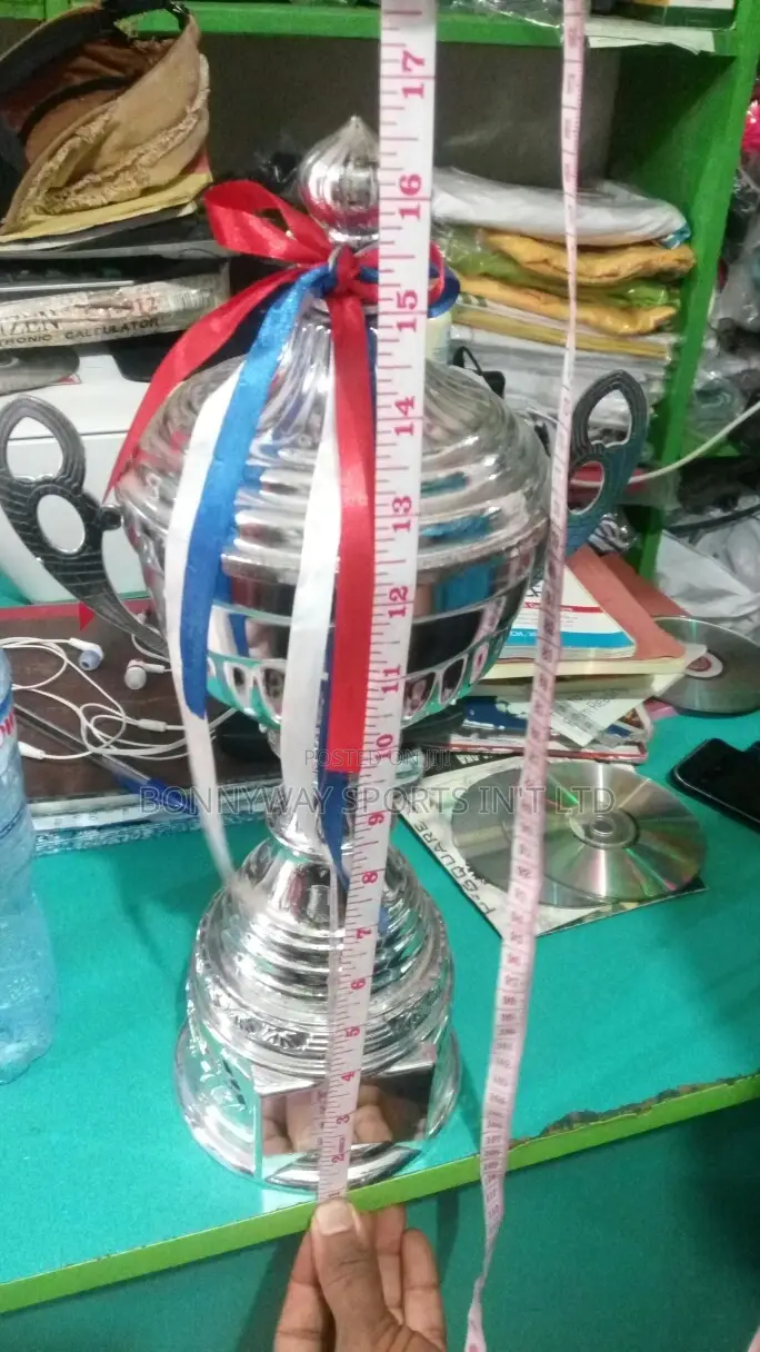 16 Inches Height Silver Trophy