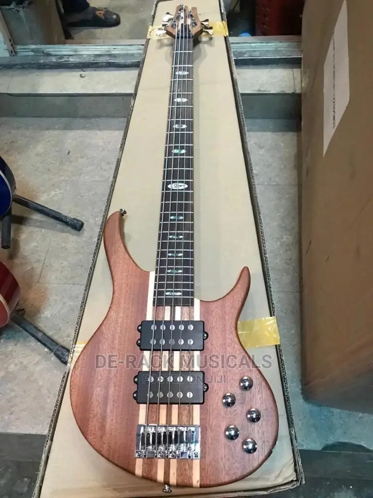 The Professional Electric Guitar for Professionals